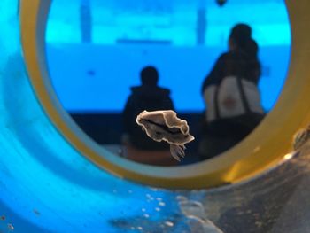 People in swimming pool