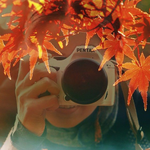 food and drink, freshness, food, healthy eating, close-up, leaf, tree, red, focus on foreground, orange color, fruit, table, indoors, day, growth, refreshment, drink, branch, holding, still life