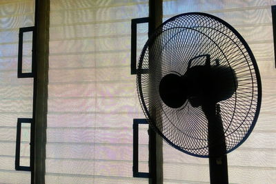 Bare tree seen through window