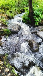 Stream flowing through a forest