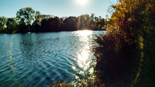 Scenic shot of reflection of trees in calm lake