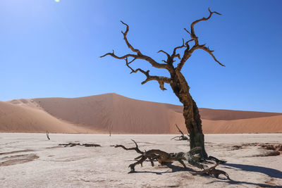 View of a desert