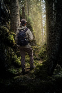 Man walking through a forest on a footpath into a bright glade