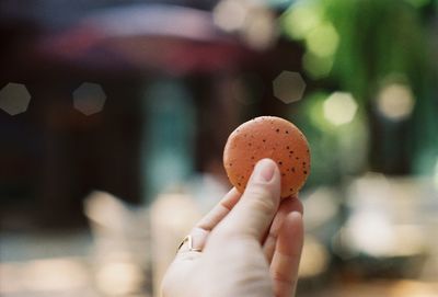 Close-up of hand holding macaroon 
