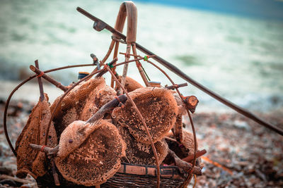 Close-up of rusty chain hanging on sea shore