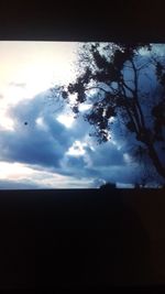 Low angle view of silhouette trees against sky at sunset