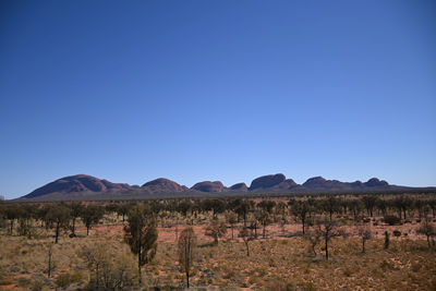 Scenic view of landscape against clear blue sky