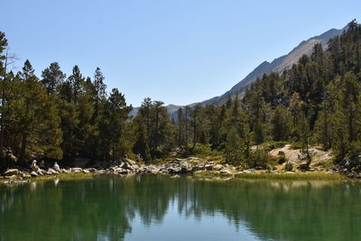 Scenic view of lake by trees against clear sky