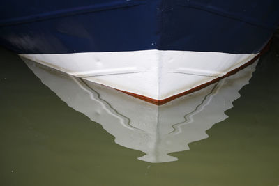High angle view of white floating on water