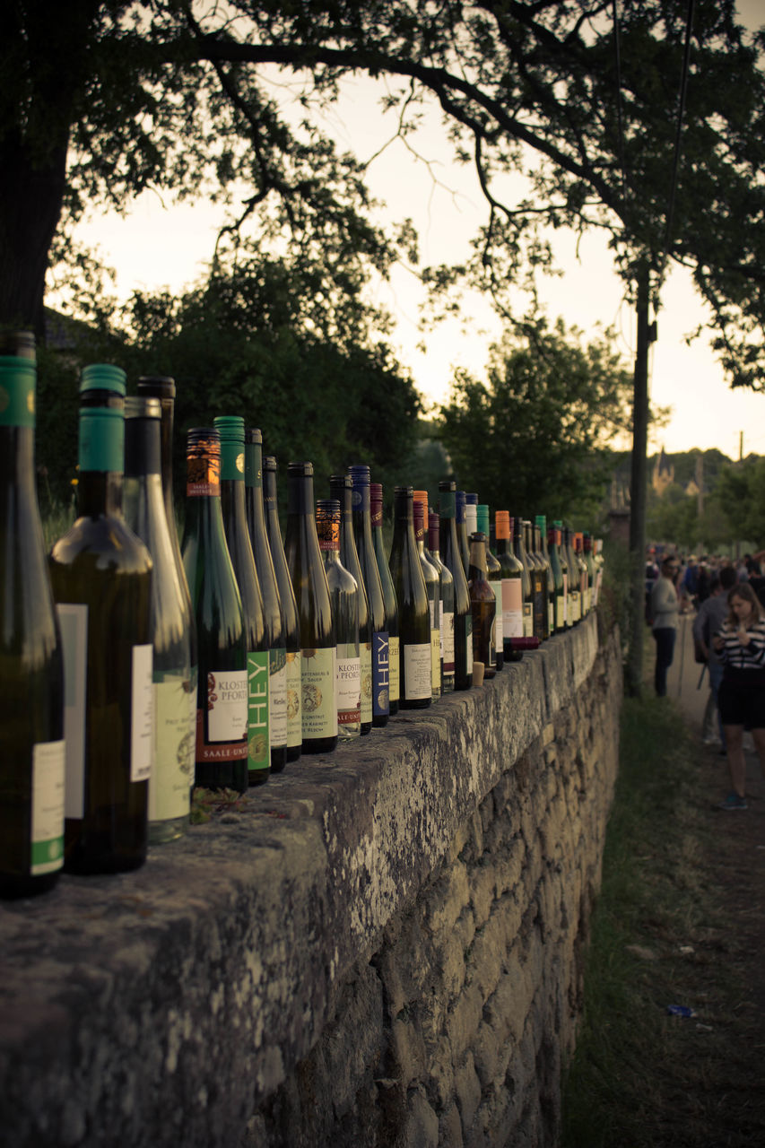tree, bottle, plant, container, refreshment, drink, arrangement, large group of objects, day, nature, alcohol, in a row, food and drink, incidental people, focus on foreground, choice, outdoors, variation, wine, sunlight