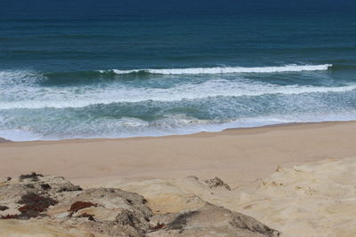 Scenic view of beach