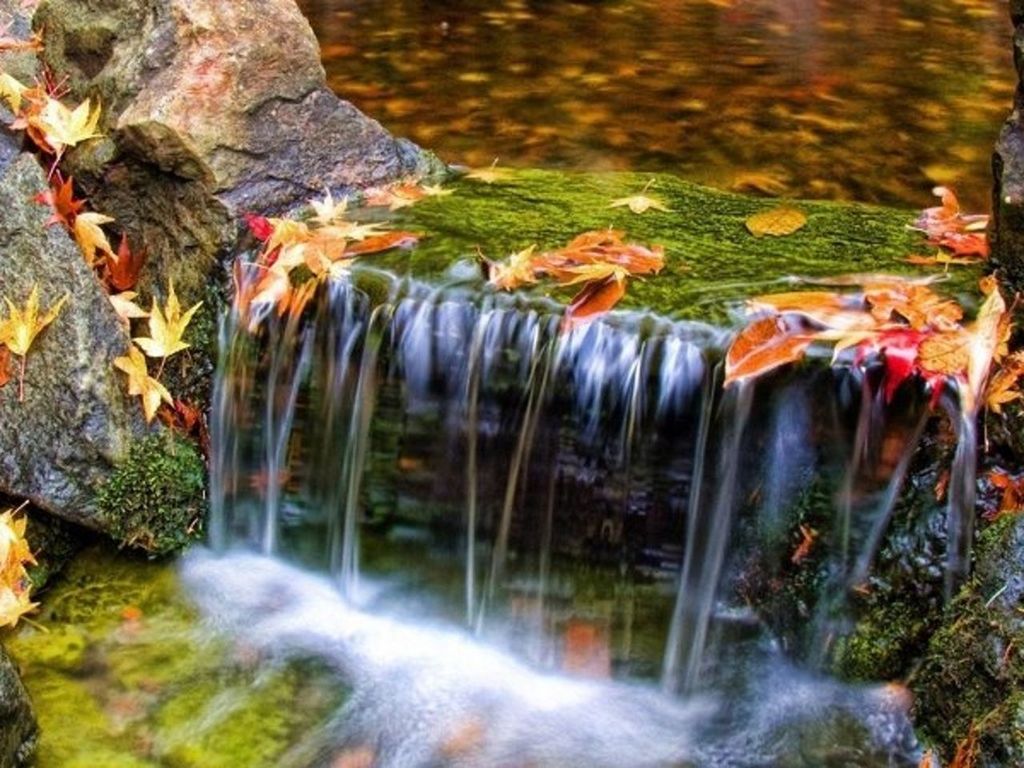 water, waterfall, flowing water, motion, long exposure, flowing, rock - object, blurred motion, nature, beauty in nature, plant, pond, outdoors, forest, rock, stream, day, moss, rock formation, no people