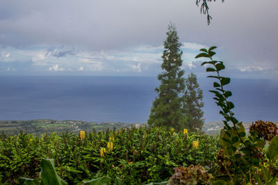 Scenic view of sea against sky