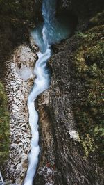 Scenic view of waterfall in forest
