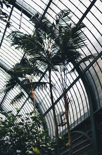 Low angle view of greenhouse