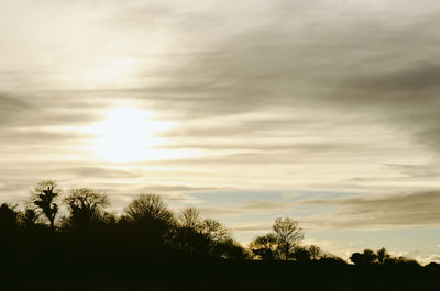 Low angle view of silhouette trees against sky during sunset