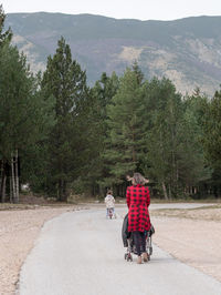 Rear view of people walking on road against trees