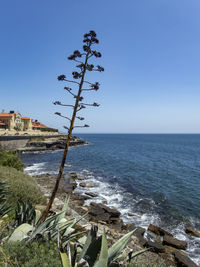 Scenic view of sea against clear sky