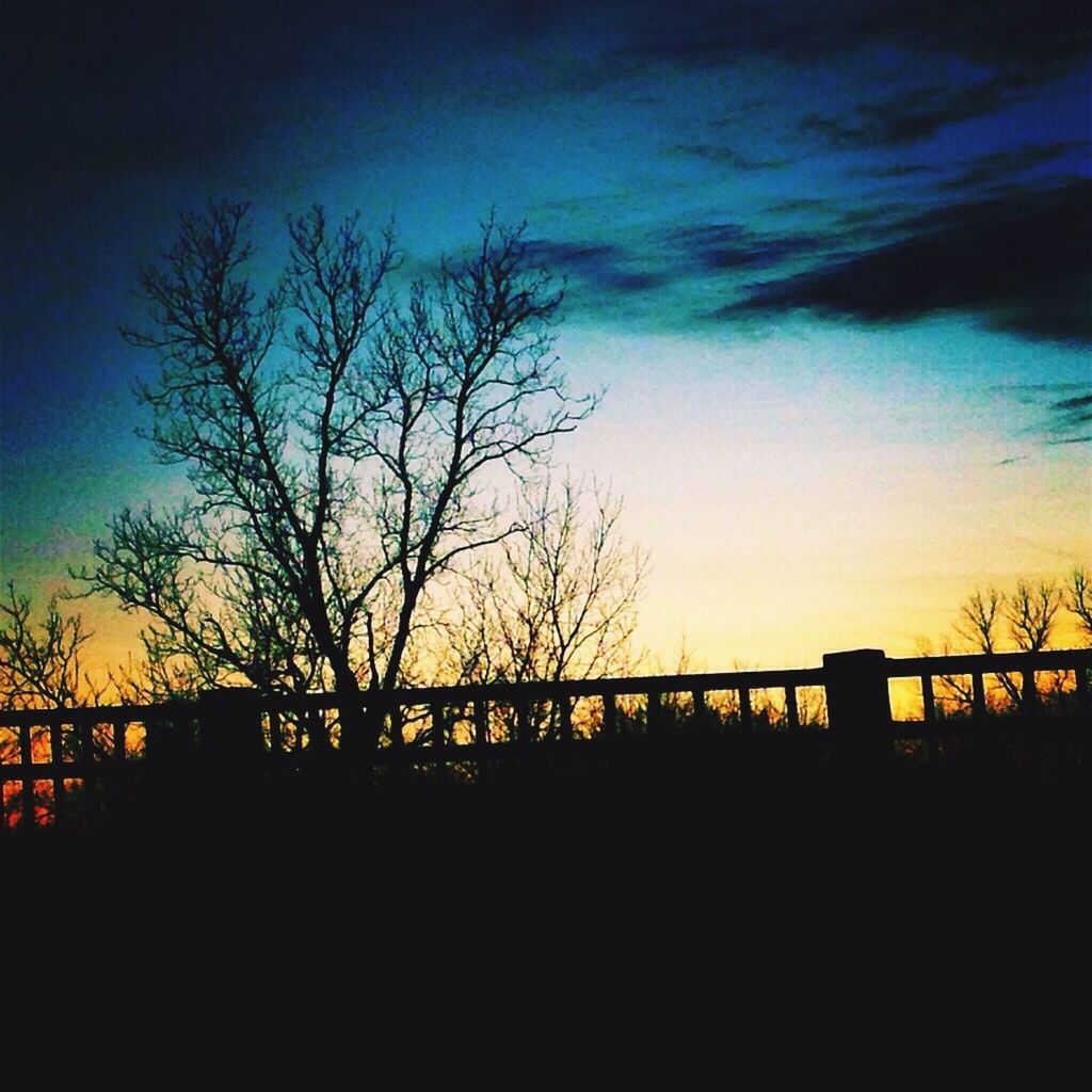 silhouette, bare tree, sunset, tree, sky, tranquility, tranquil scene, scenics, beauty in nature, branch, nature, dark, landscape, blue, cloud - sky, idyllic, dusk, field, outline, outdoors