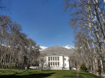 Trees in front of building