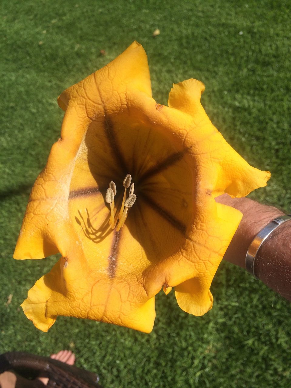 art and craft, yellow, creativity, art, close-up, animal representation, high angle view, flower, craft, leaf, one person, fragility, person, petal, day, focus on foreground, part of, outdoors, human representation, single object