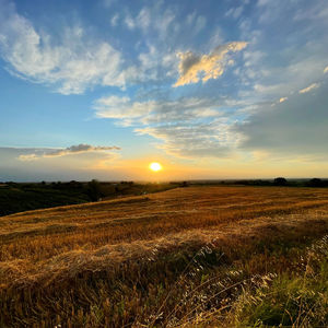 Scenic view of field against sky during sunset