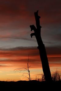 Silhouette of tree against dramatic sky during sunset