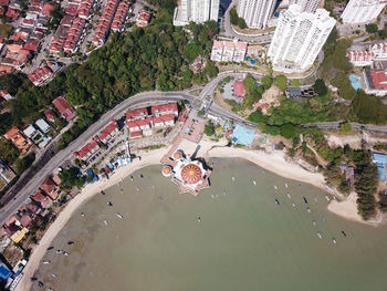 High angle view of trees and buildings in city