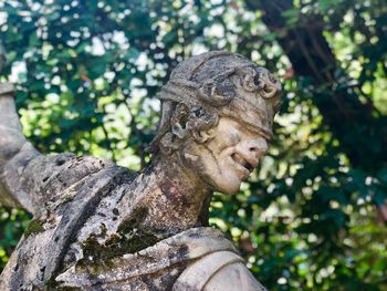 Close-up of statue against tree