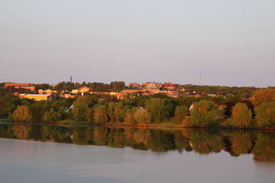 Reflection of trees in calm lake