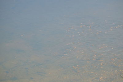 Full frame shot of rippled water
