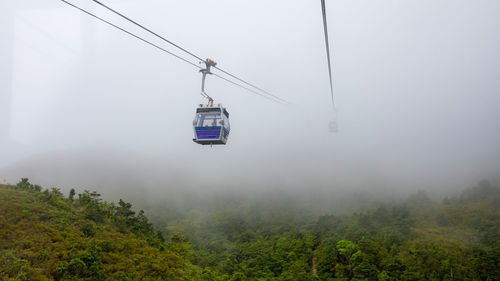 Overhead cable car in forest against sky