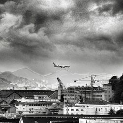 Birds flying over town against sky