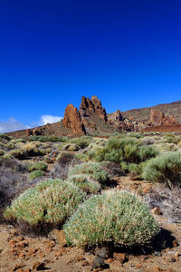 Scenic view of landscape against clear sky