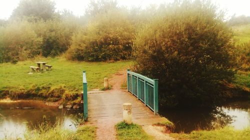 Sheep on field by trees against sky