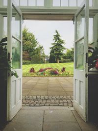 Plants with trees in background