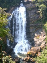 View of waterfall in forest