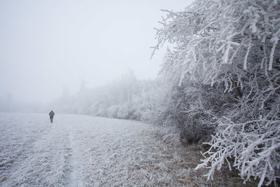 Rear view of woman walking on snow covered landscape
