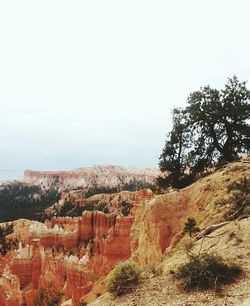 Scenic view of landscape against clear sky
