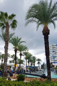 Palm trees by plants against sky