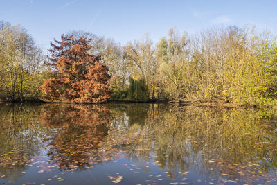 Reflection of trees in lake against sky during autumn