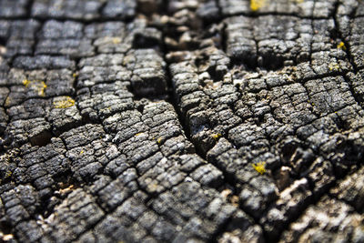 Full frame shot of cracked wood