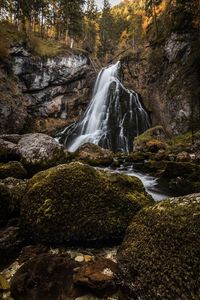 Scenic view of waterfall in forest