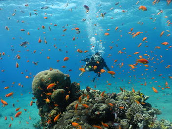 Side view of mid adult man swimming in sea