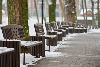 Benches covered with snow among frosty winter trees in park. winter landscape, falling snowflakes