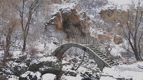 View of snow covered rock in forest