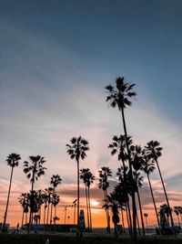 Silhouette palm trees on beach against sky at sunset