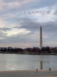 Birds flying over the lake