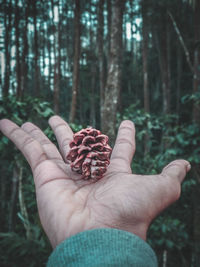Close-up of hand holding fruit