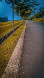 Road amidst trees against sky